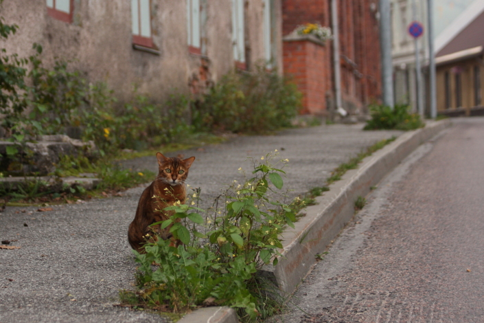Vaade Tartu tänavale Viljandis