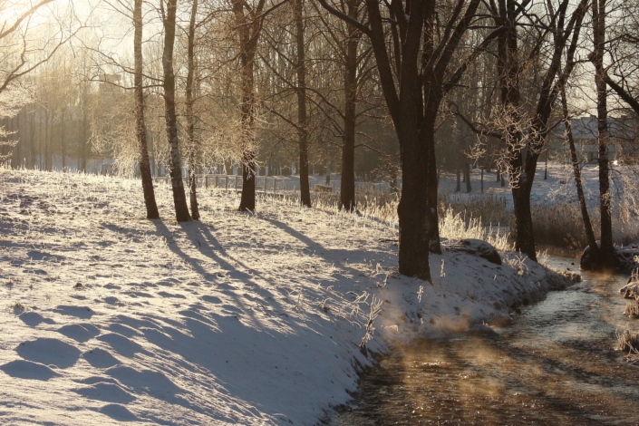 Valuoja org jaanuaris