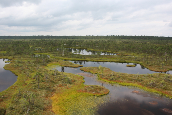 Endla looduskaitseala Jõgevamaal