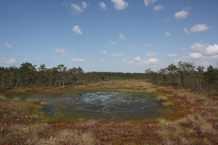 Riisa raba Soomaa rahvuspargis