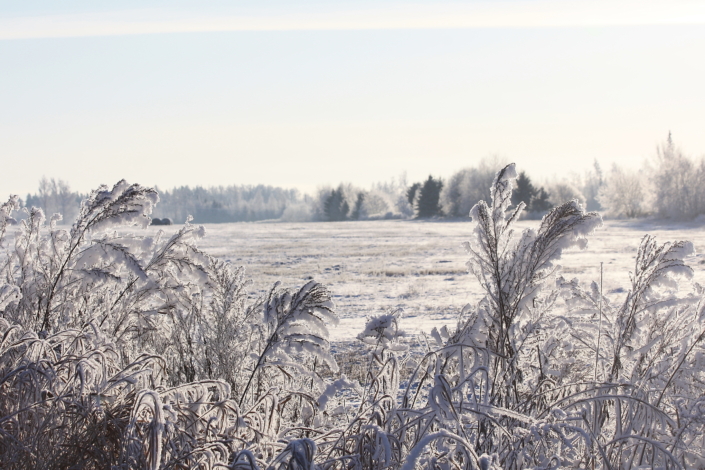 Novembrikuu lumi on katnud maa