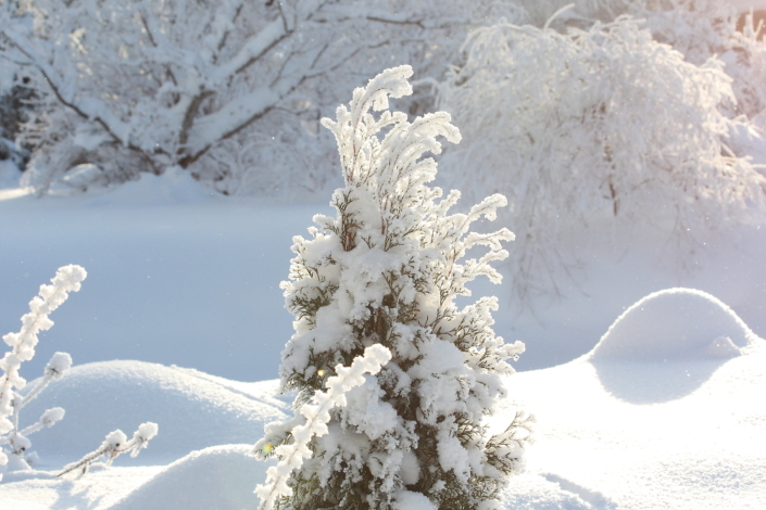 Lumemütsid Valuoja orus