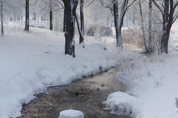 Valuoja org jaanuaris 2